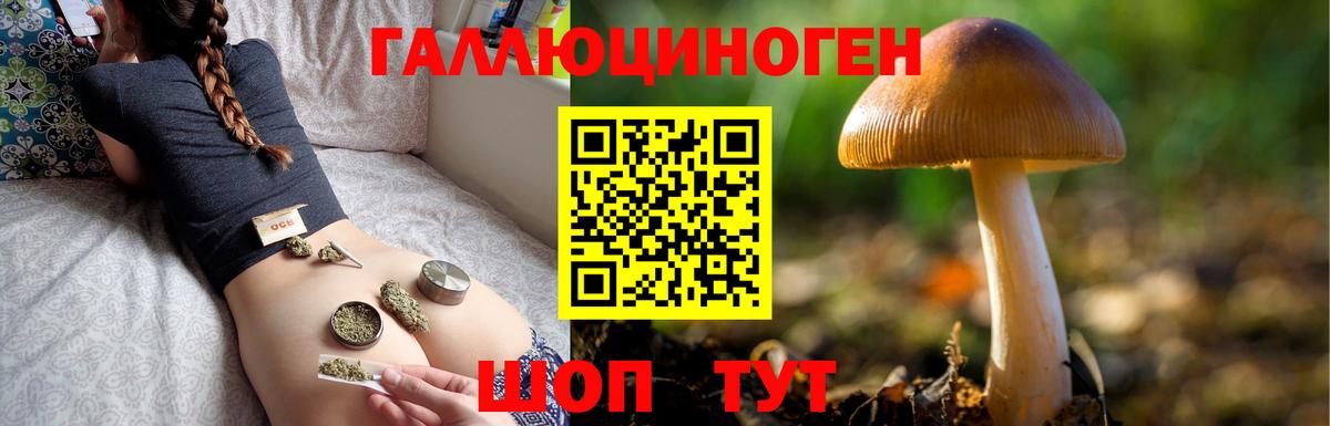 где продают наркотики  Вход с VPN  Протвино  Галлюциногенные грибы прущие грибы 